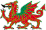 Welsh Dragon